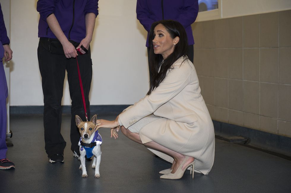 The Duchess Of Sussex Visits Mayhew