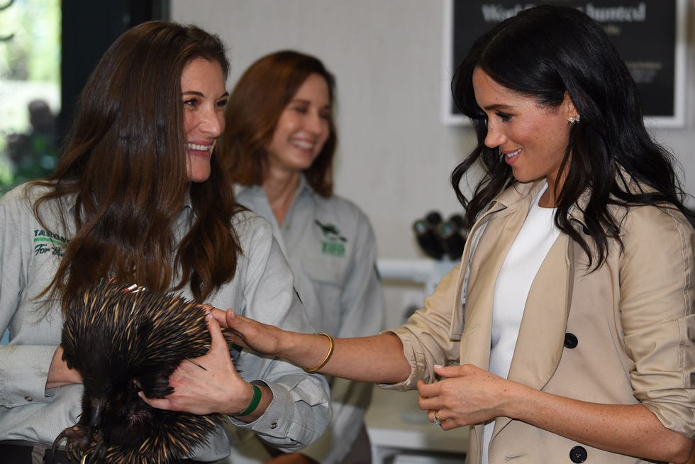 AUSTRALIA-BRITAIN-ROYALS-POLITICS