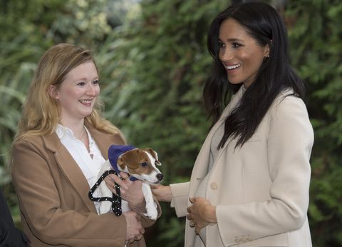 the duchess of sussex visits mayhew