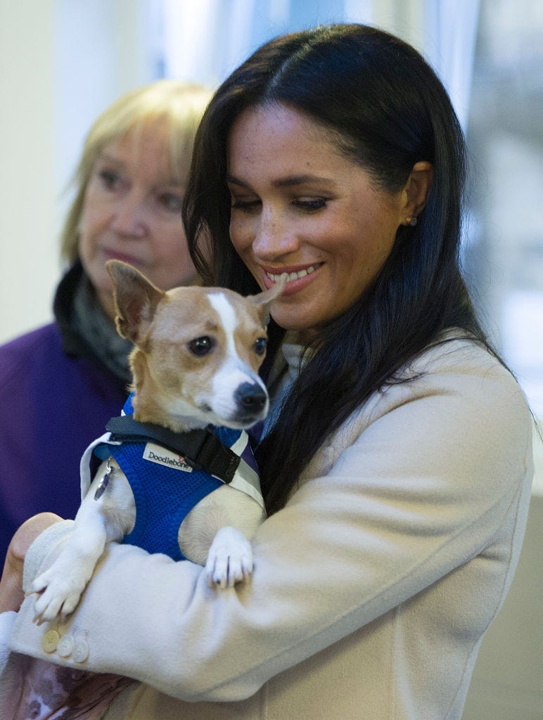 Meghan Markle with dog