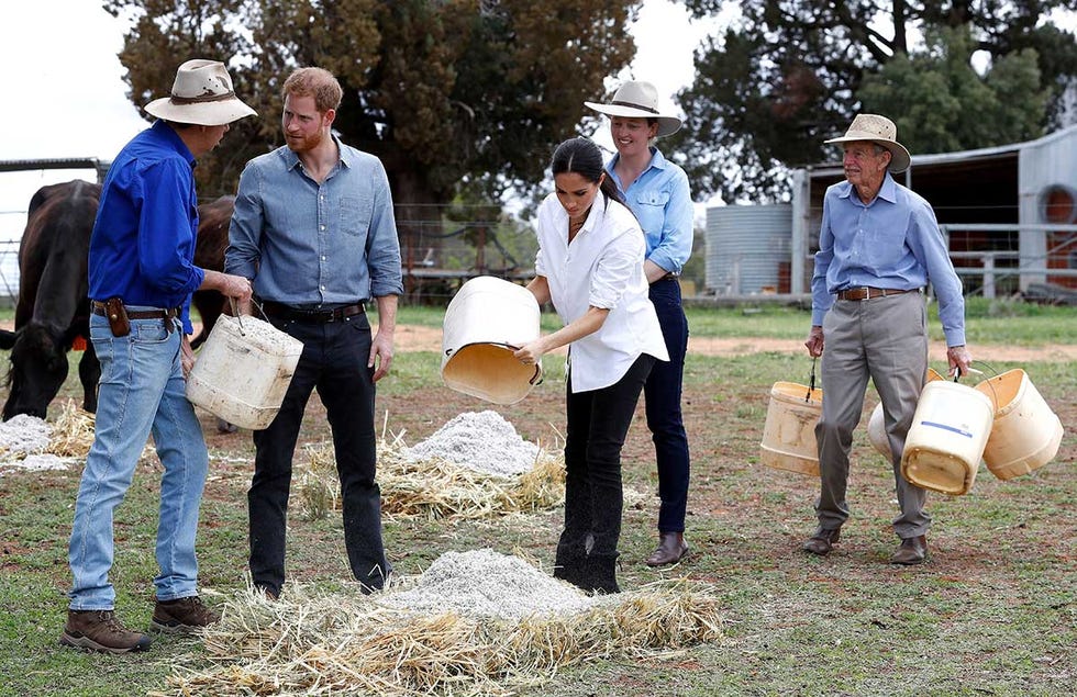 Harry Meghan granja Australia