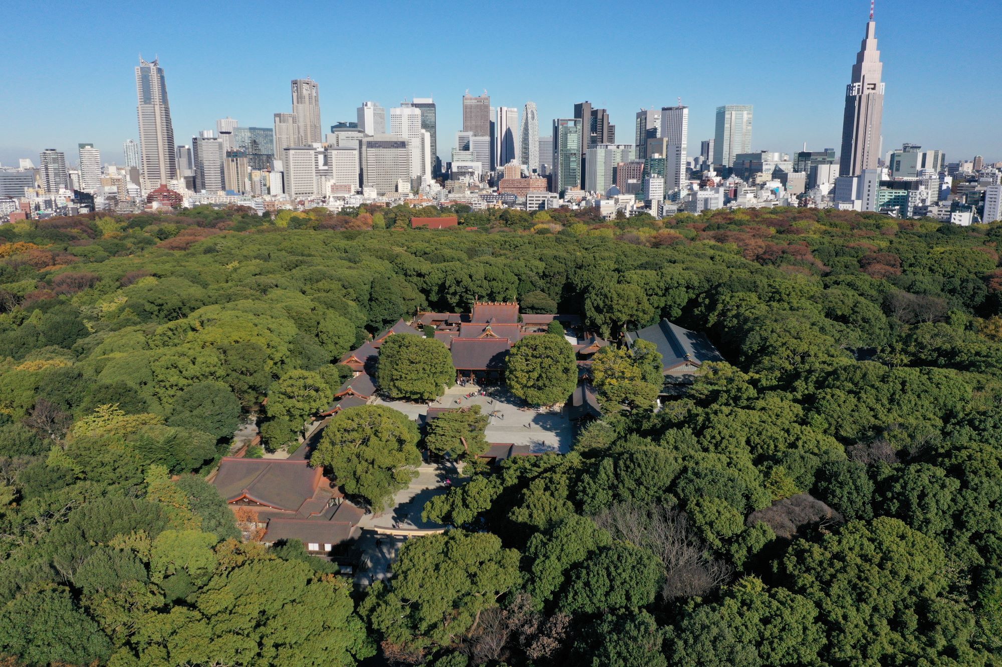 2025年の開運旅はここ！ 星読みyujiが導く運勢と、日本の