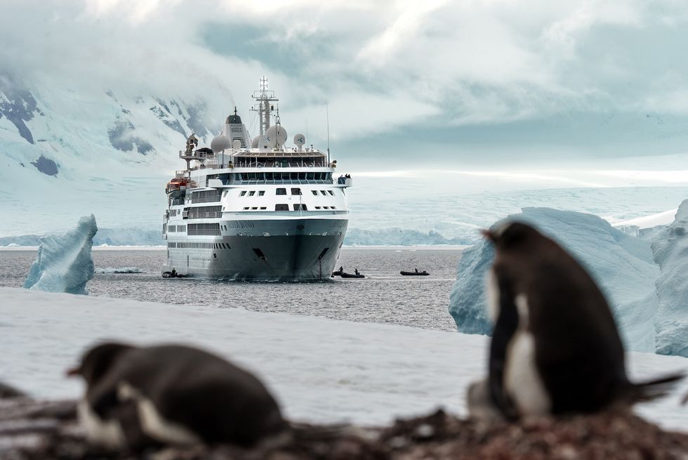 barco silversea en la antártida avistando pinguinos