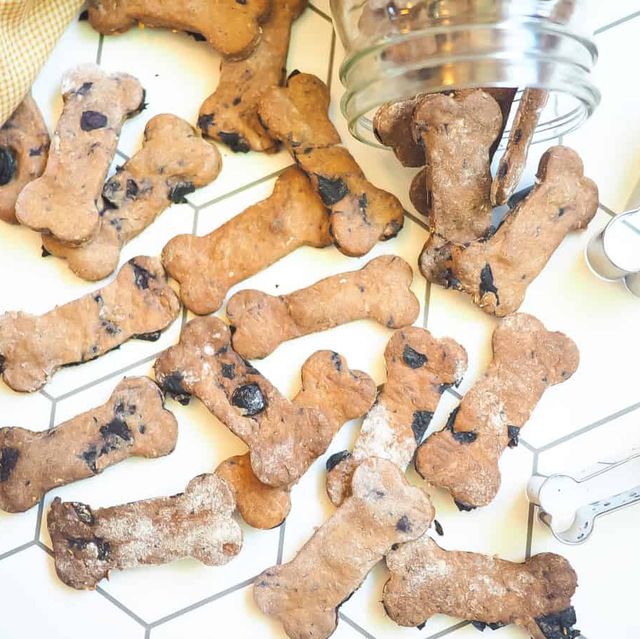 25 Best Homemade Dog Treats - DIY Dog Treat Recipes