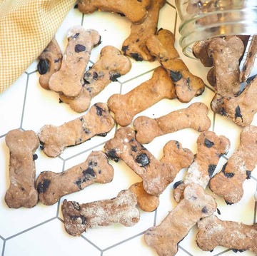 homemade dog treats