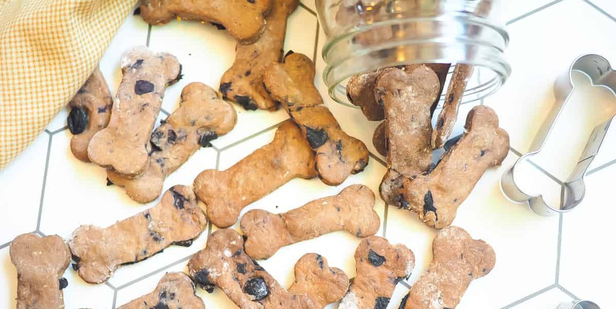 Homemade Dog Treats Diy Treat Recipes