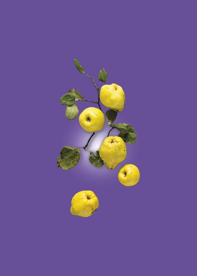 membrillos