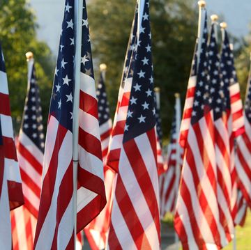 healing field with american flags for memorial day, a federal holiday