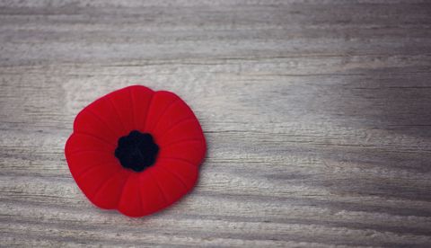 a red poppy pin on a table