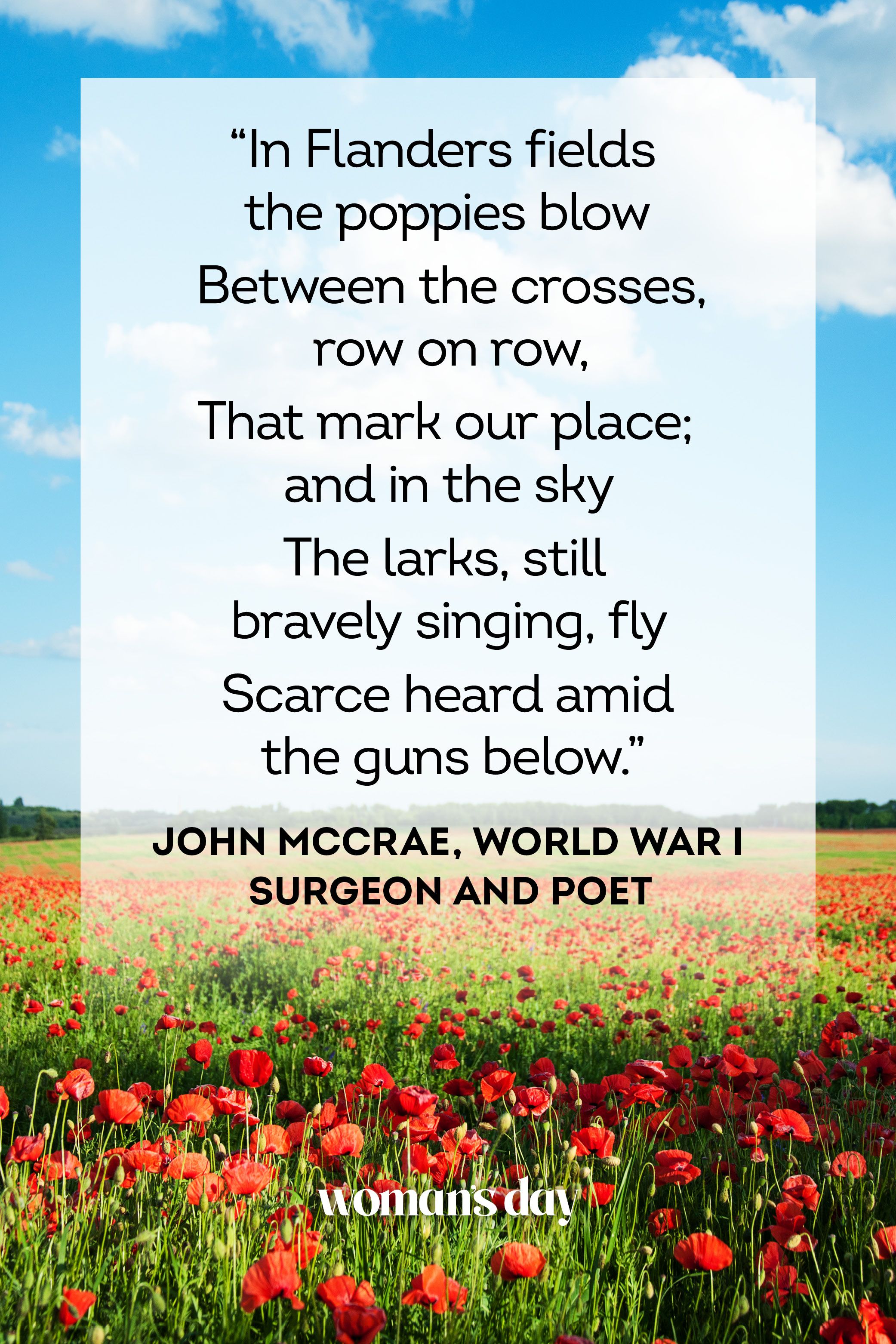 remembrance day poems and quotes