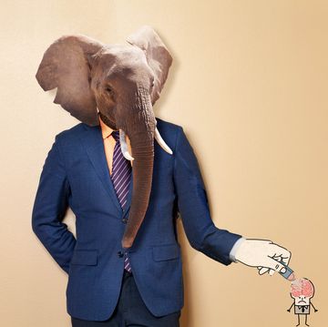 male elephant in office clothing suit and shirt advisor, business man, mixed media
