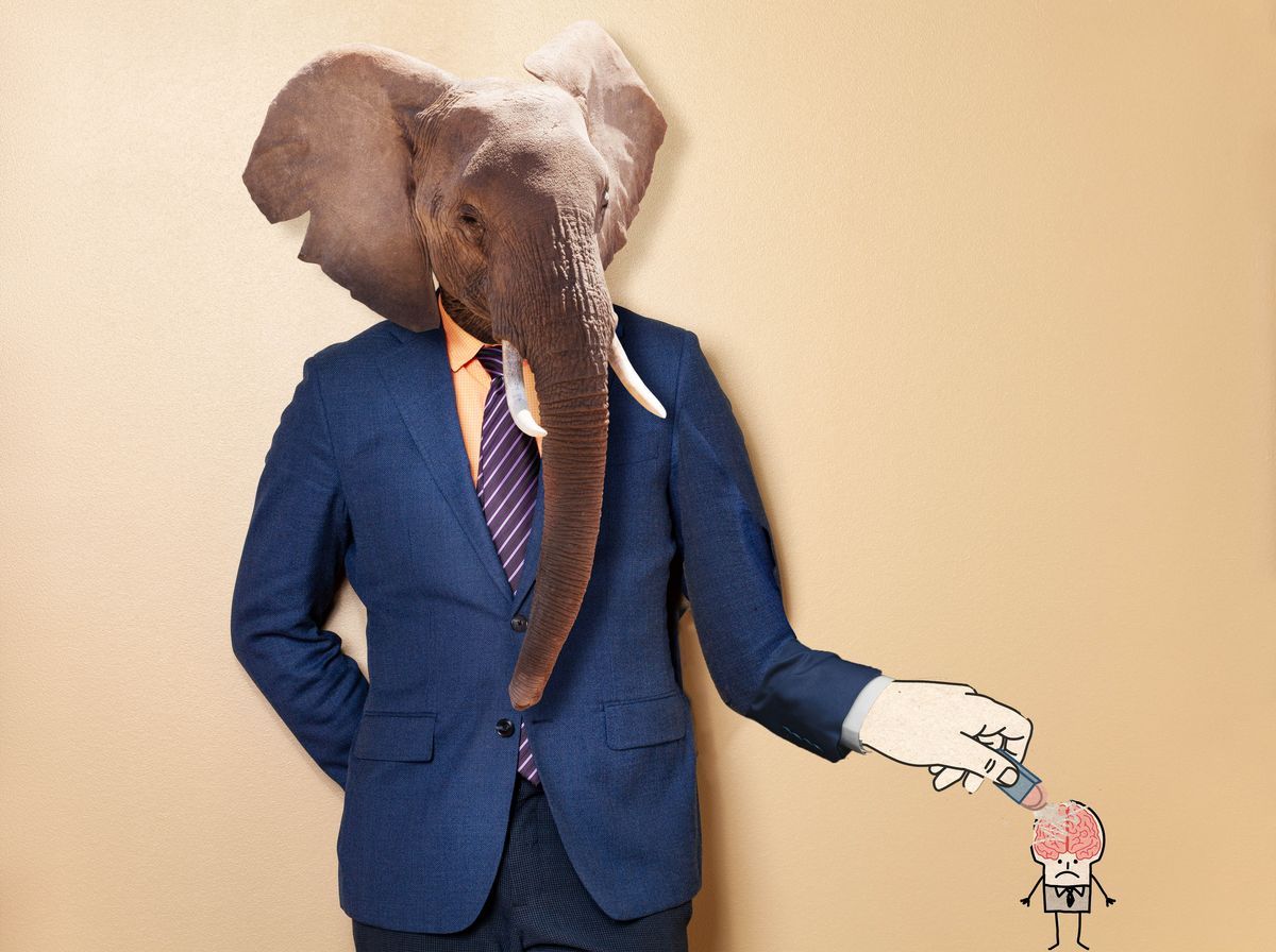 male elephant in office clothing suit and shirt advisor, business man, mixed media