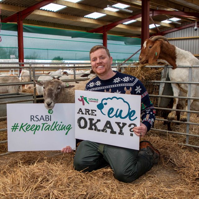 loneliest sheep fronts mental health campaign