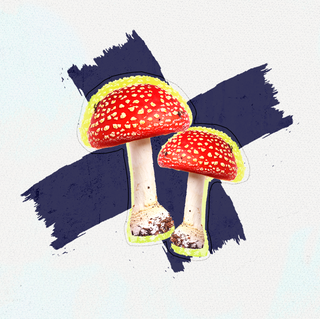 mushrooms