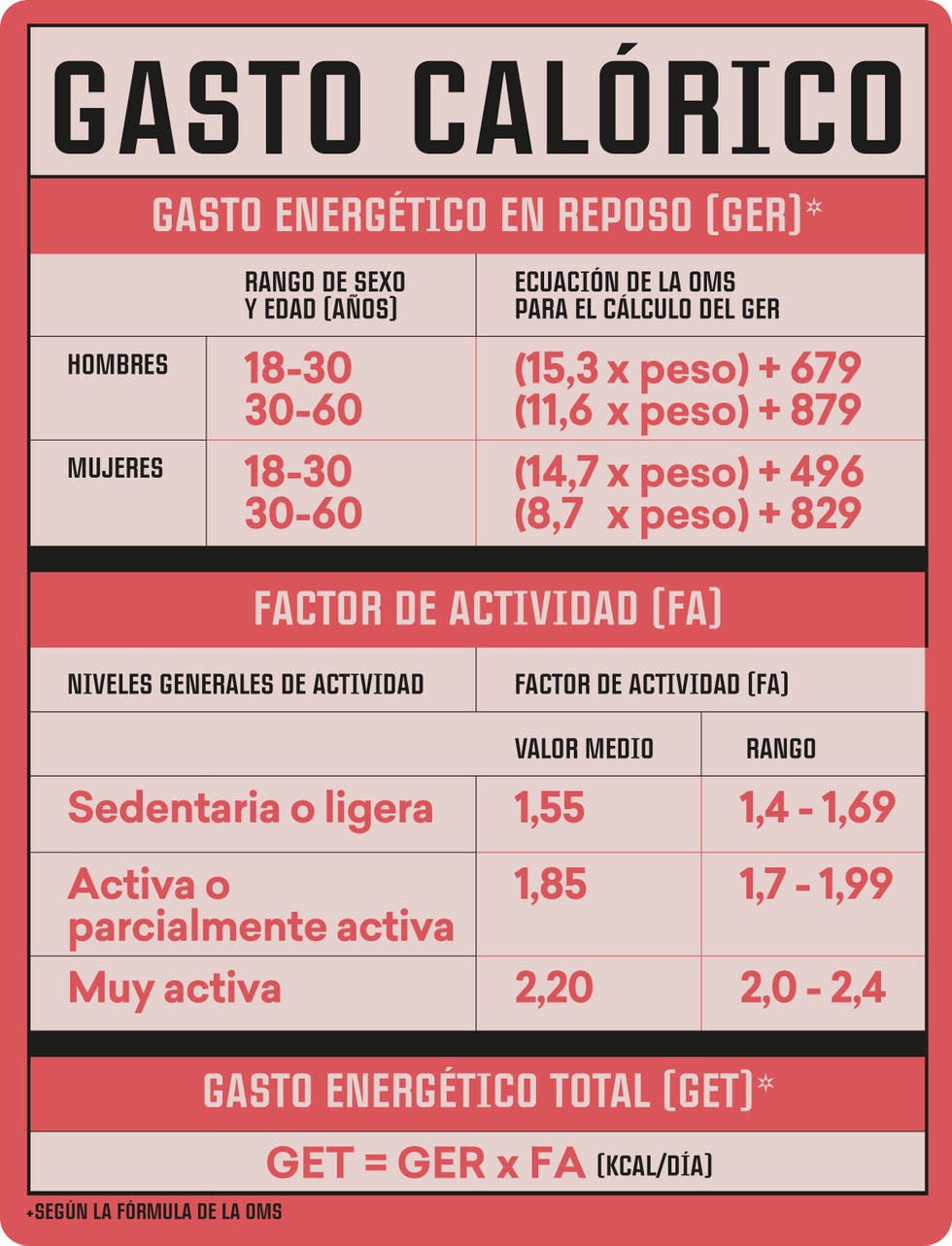 cálculo del gasto energético total