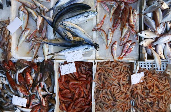 Fish, Seafood, Fish products, Anchovy (food), Stockfish, Anchovy, Fish, Food, Oily fish, Cuisine, 