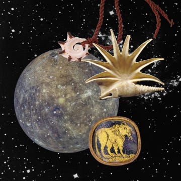 a compilation of mercury, a shell, and a lion