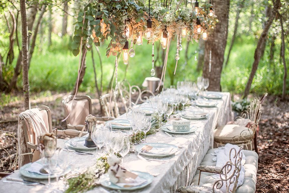 Photograph, Woodland, Meal, Tablecloth, Event, Rehearsal dinner, Table, Wedding reception, Banquet, Tree, 