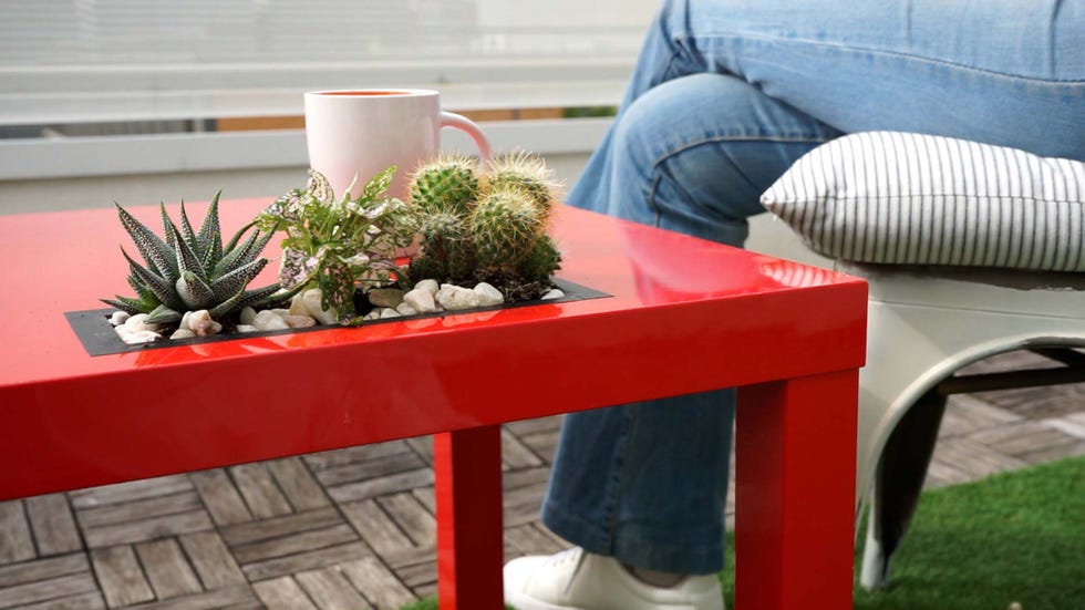 mesa de centro con jardinera y plantas
