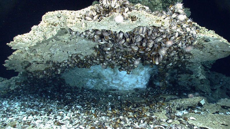 Op deze plek diep onder de Golf van Mexico liggen ijzige methaanhydraten in de zeebodem opgeslagen