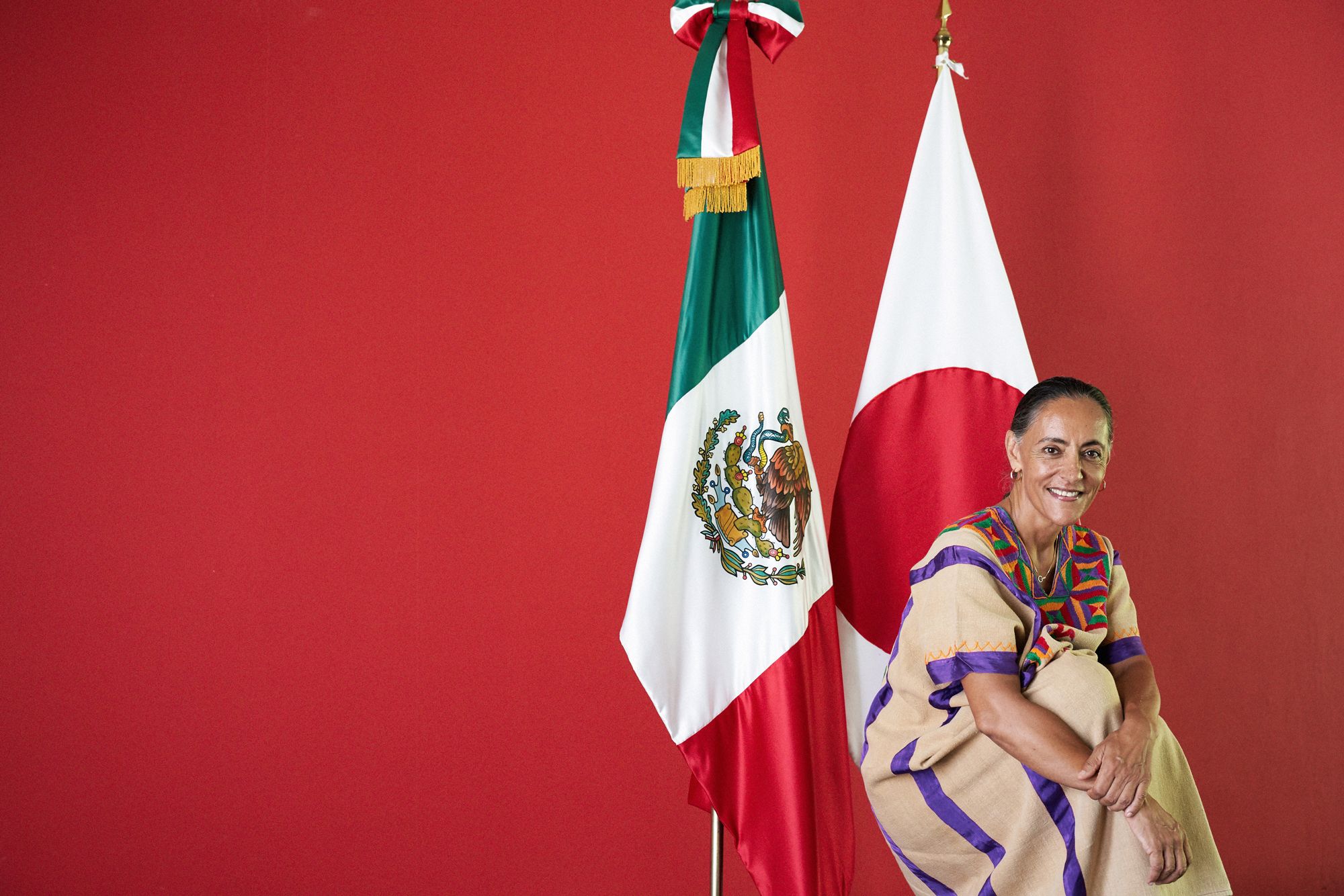 大使館の扉がひらく,メキシコ合衆国,méxico japan ambassador,melba maría prÍa olavarrieta,メルバ・マリア・プリーア・オラバリエタ,