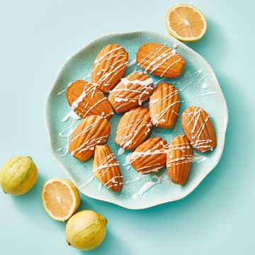 meyer lemon madeleines on a blue plate