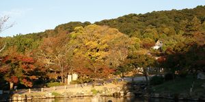 京都・円山公園