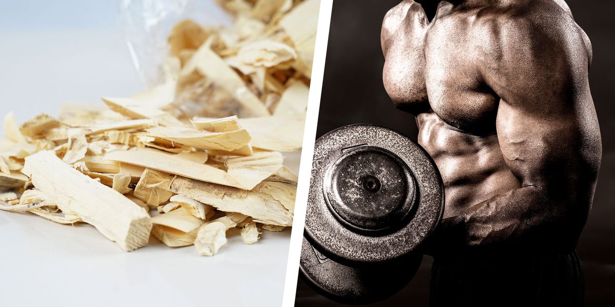 Does Tongkat Ali Boost Testosterone?
