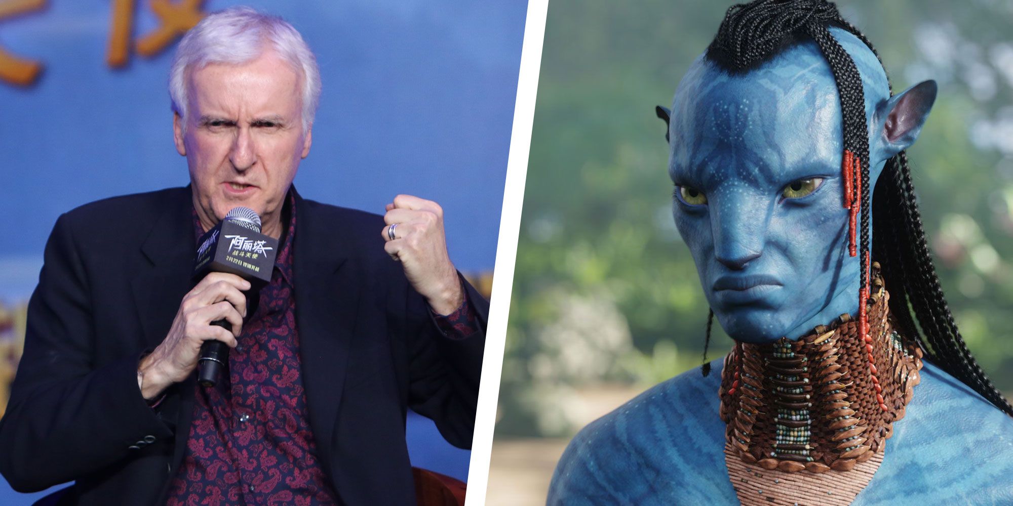 James Cameron Says Avatar 2 Will Make Haters Shut the F Up