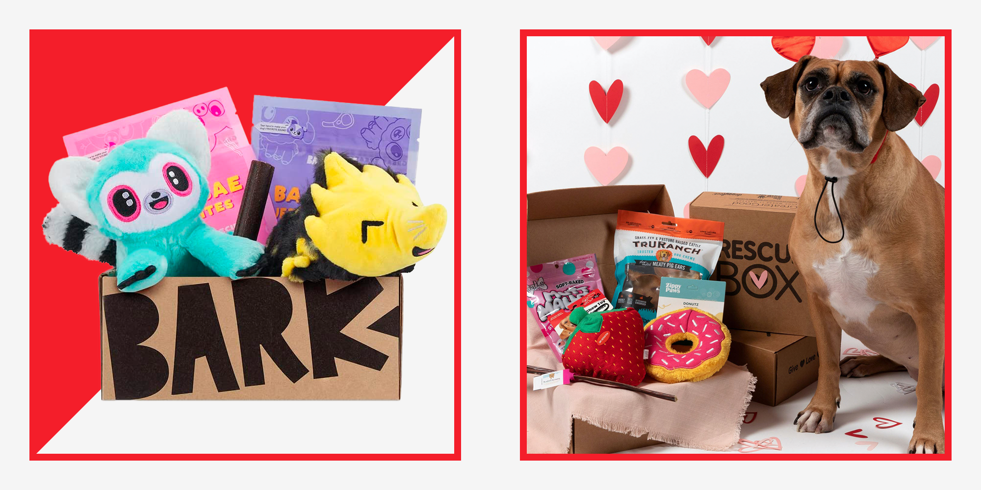 Puppy Gift Box - Woofbox - Gift Boxes and Monthly Subscriptions