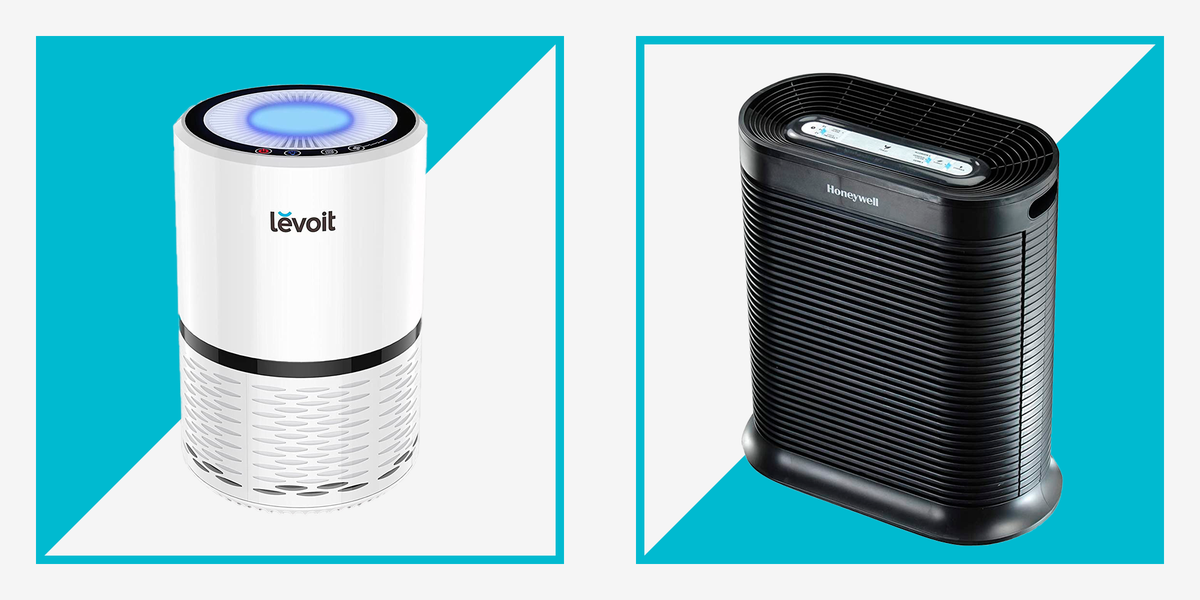 fossil album Reklame The 9 Best Air Purifiers for 2023 - Editor-Tested Air Purifiers