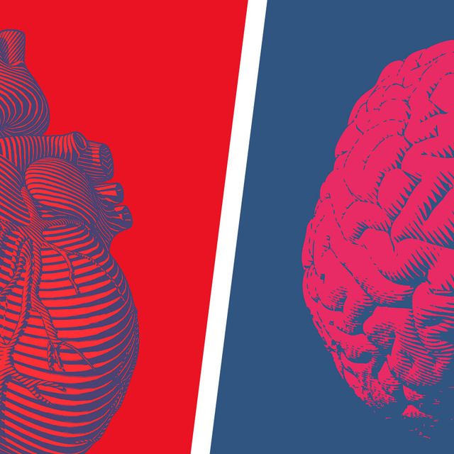 heart and brain realistic illustrations in red and blue