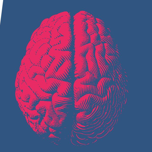 heart and brain realistic illustrations in red and blue