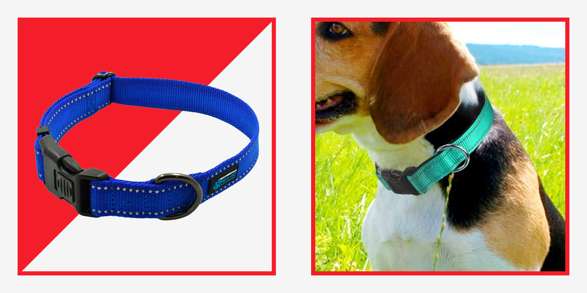 A Dog's Life Collar Dog Collar Boy Dog Collar Large 