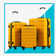 best labor day luggage sales