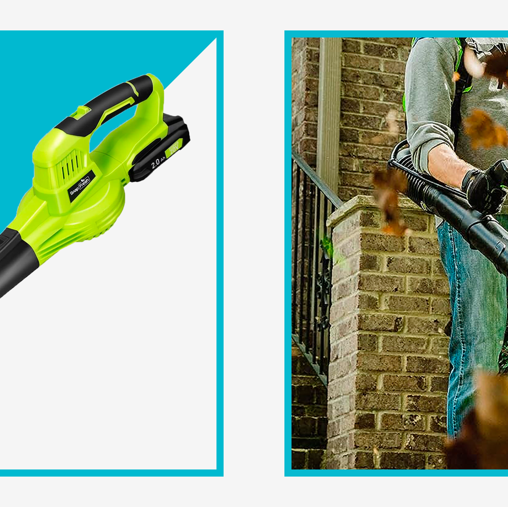 https://hips.hearstapps.com/hmg-prod/images/mh-9-19-leaf-blower-6509c42b38cc9.png?crop=0.501xw:1.00xh;0.499xw,0&resize=1200:*