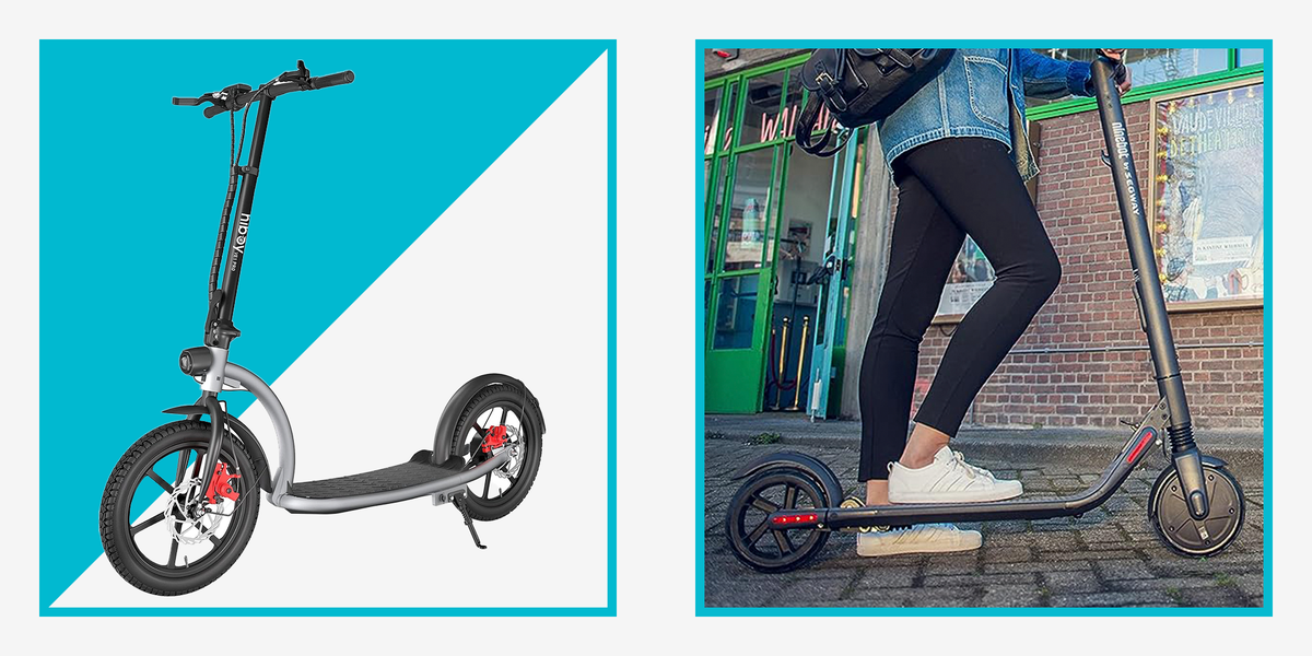 6 Best Electric Scooters 2023