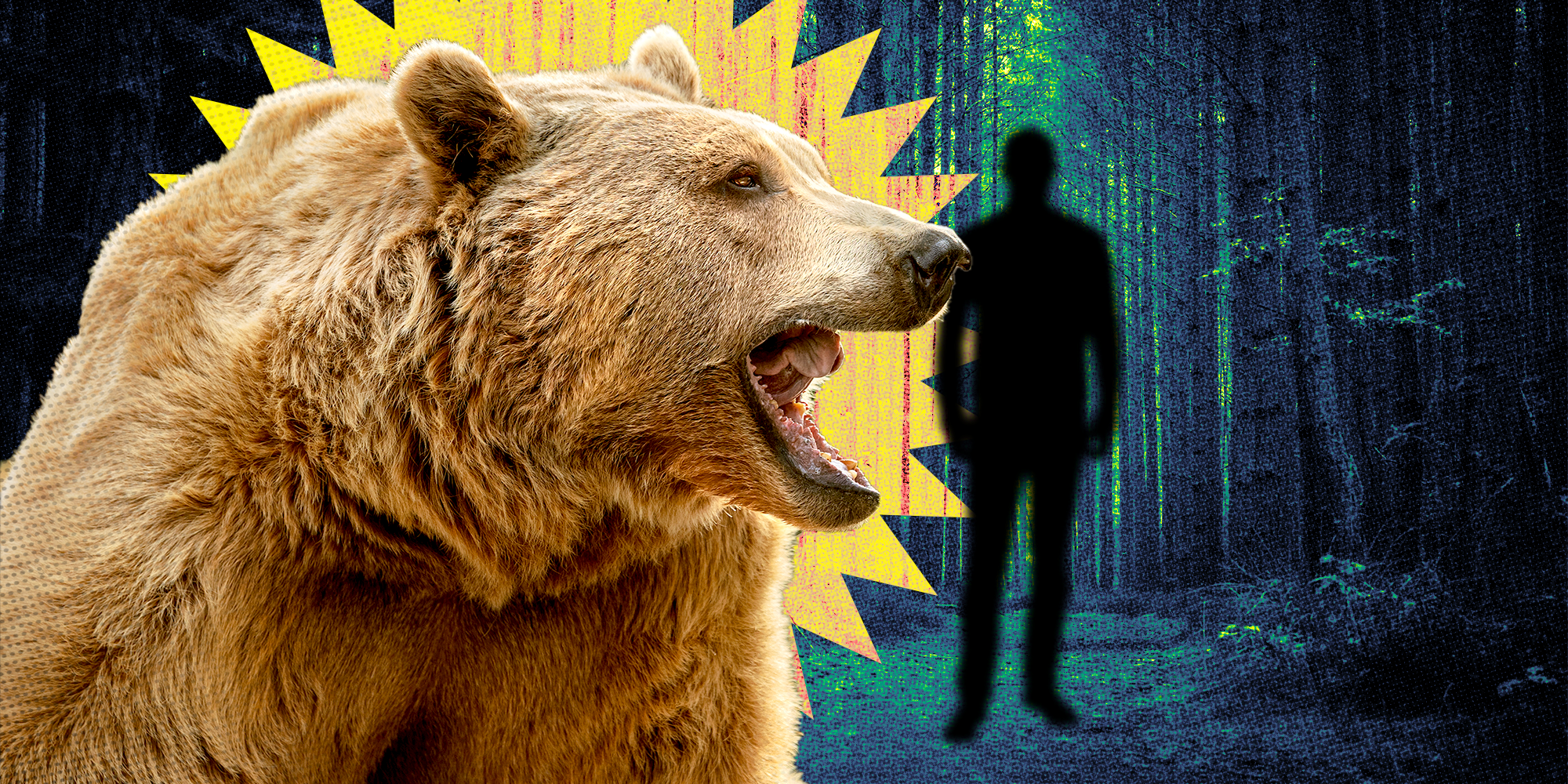 What Does It Mean to 'Choose the Bear'?