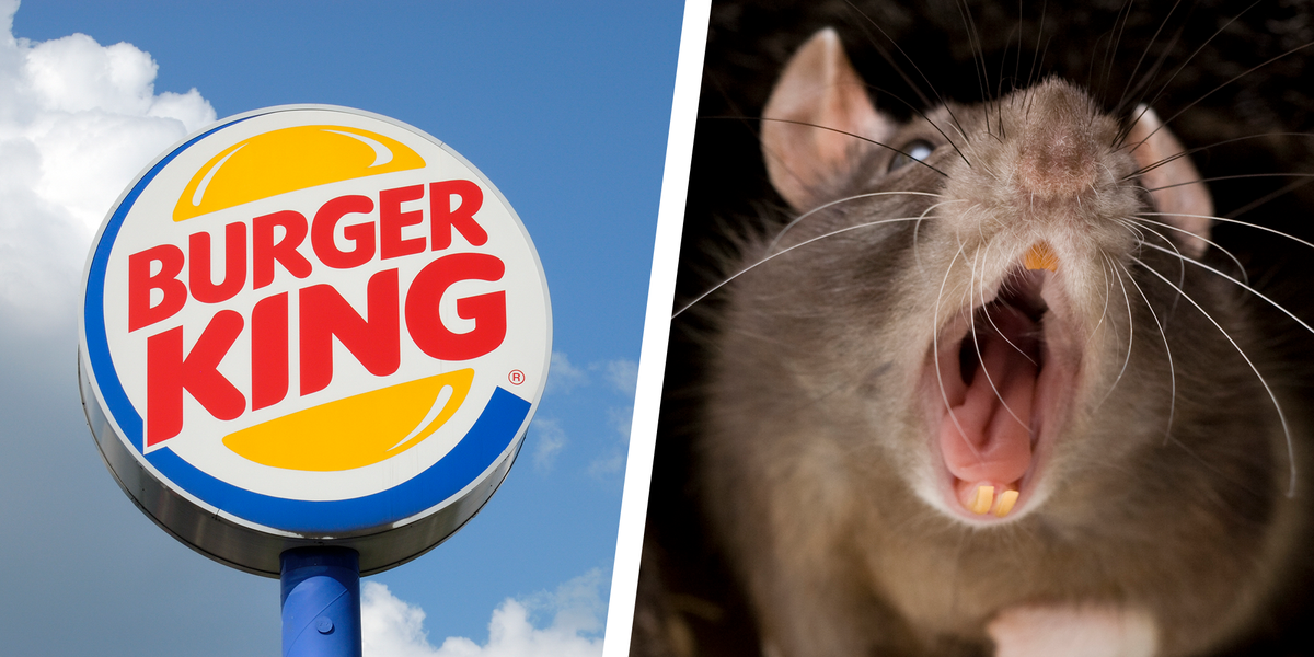 Burger King rats
