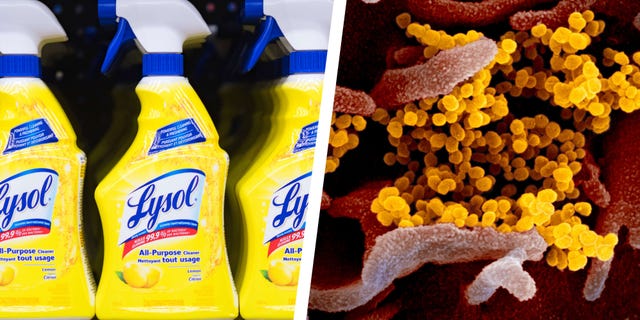 Can Lysol Kill Coronavirus? EPA Releases List of Cleaners to Use