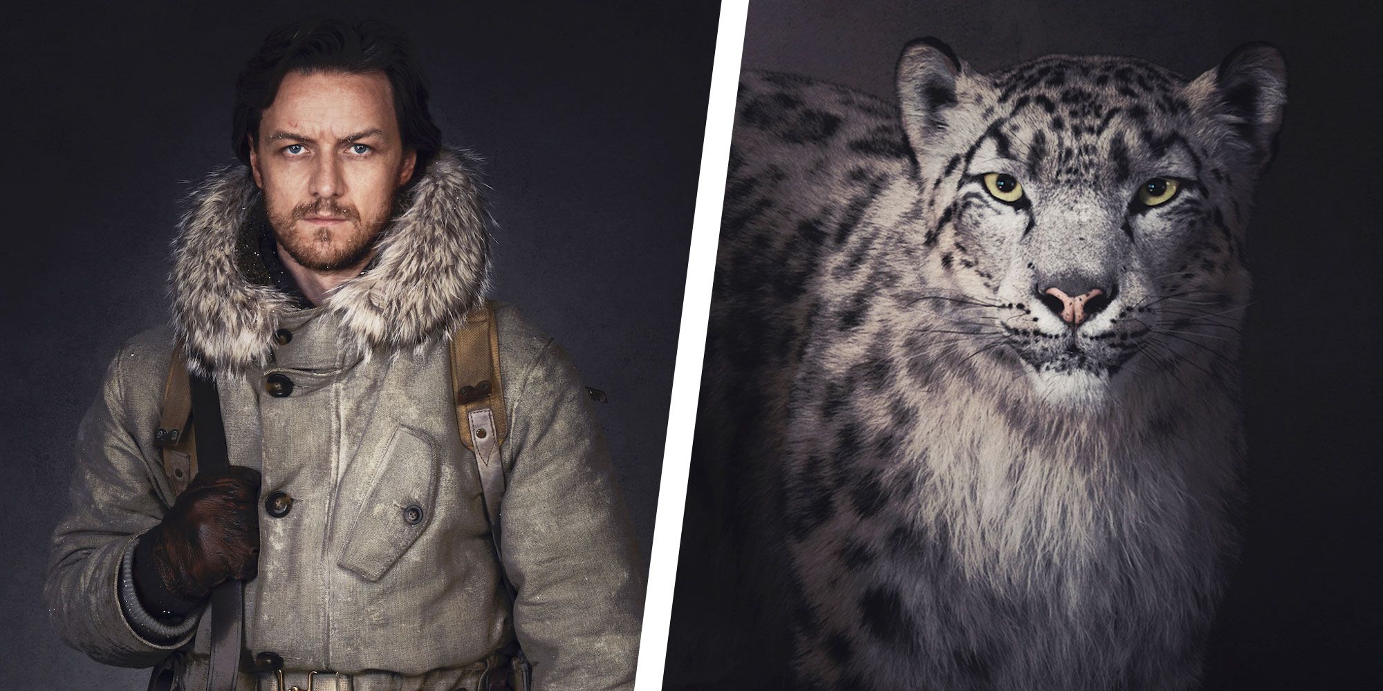How &lsquo;His Dark Materials&rsquo; Animators Brought the Daemons to Life