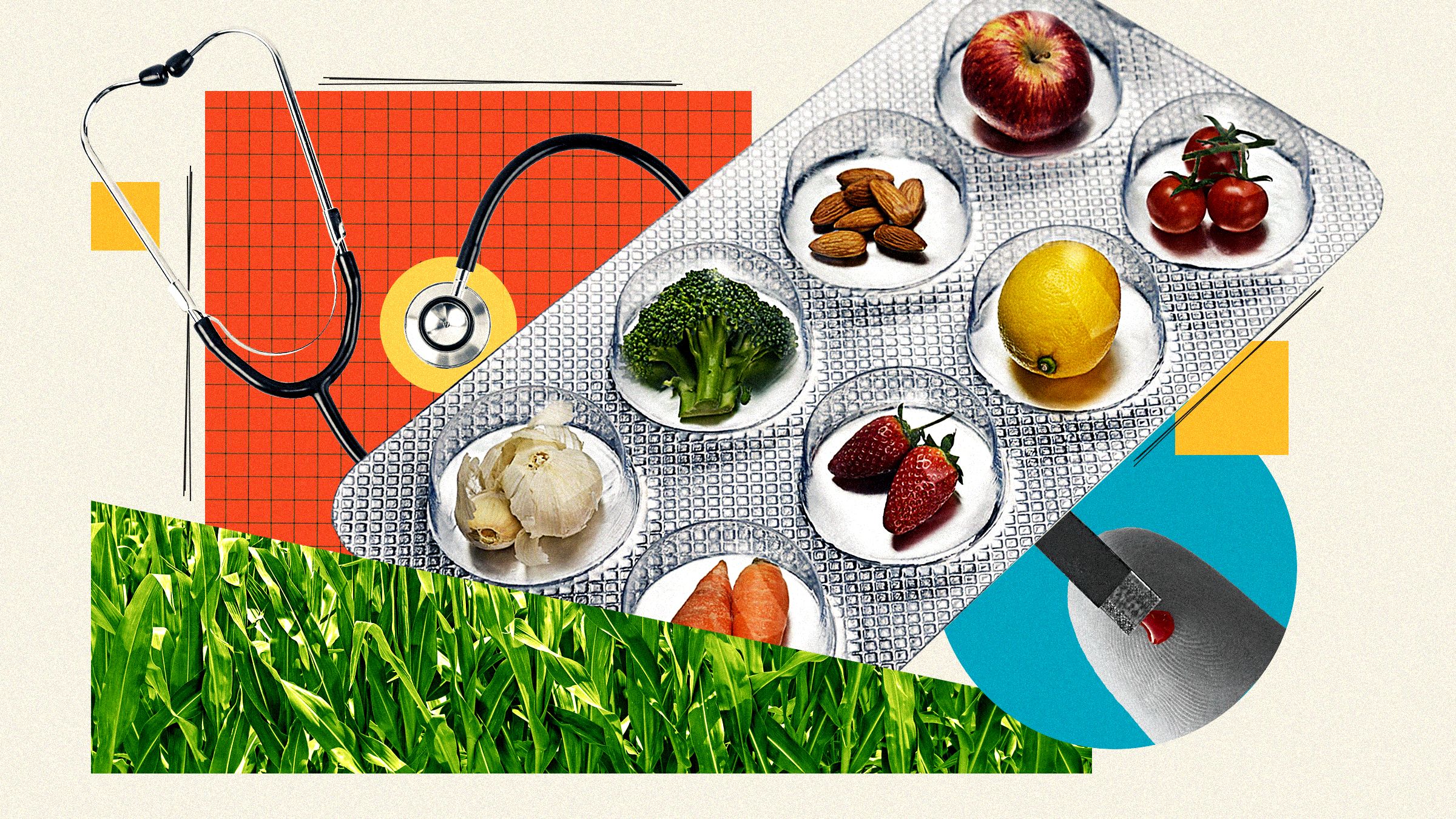 Can Your Diet Actually Treat Chronic Disease? It Depends on a Few Key Factors.