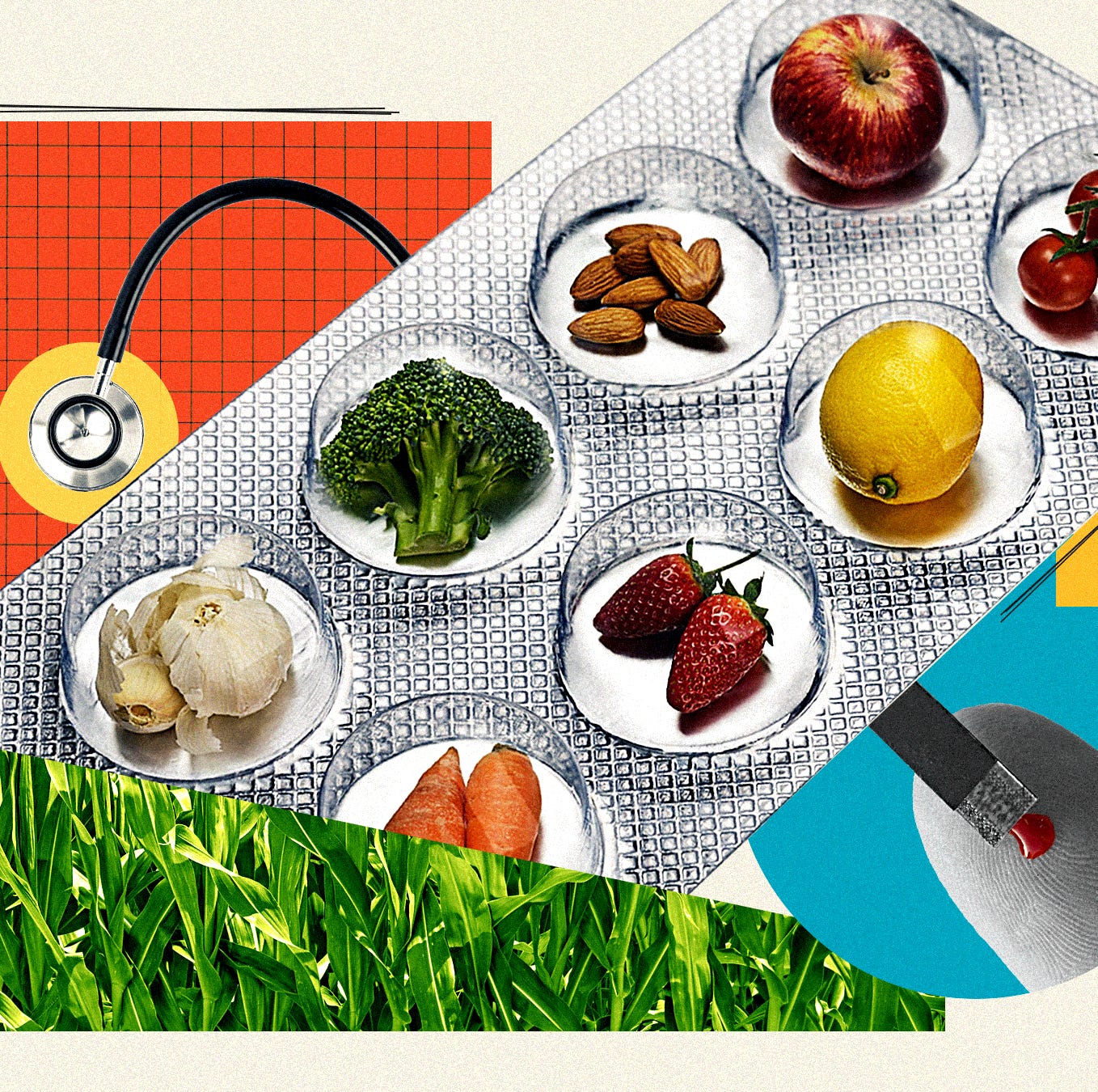 Can Your Diet Actually Treat Chronic Disease? It Depends on a Few Key Factors.