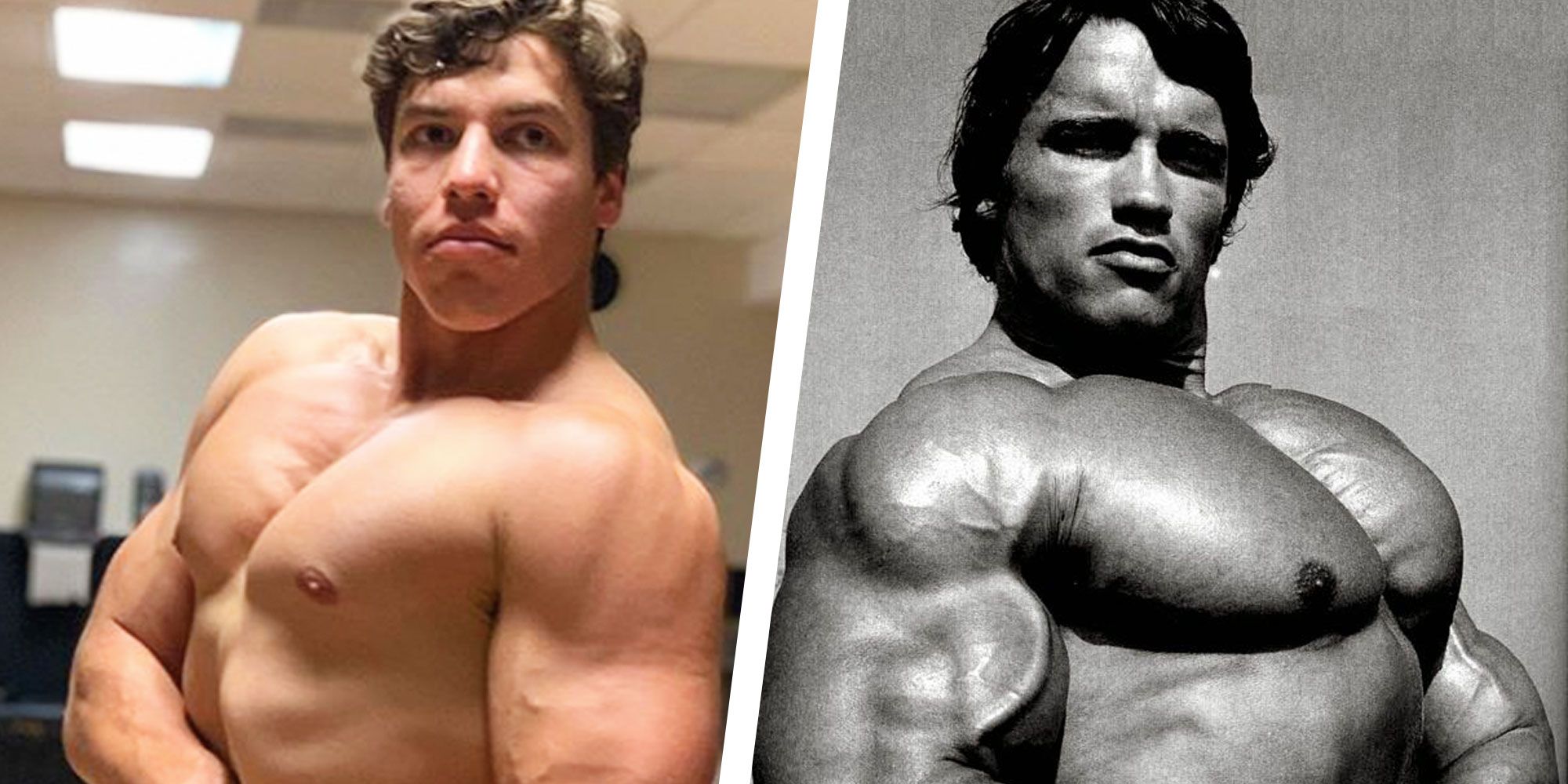 Arnold Schwarzeneggers Son Recreates Dads Iconic Bodybuilding Poses  Man  of Many