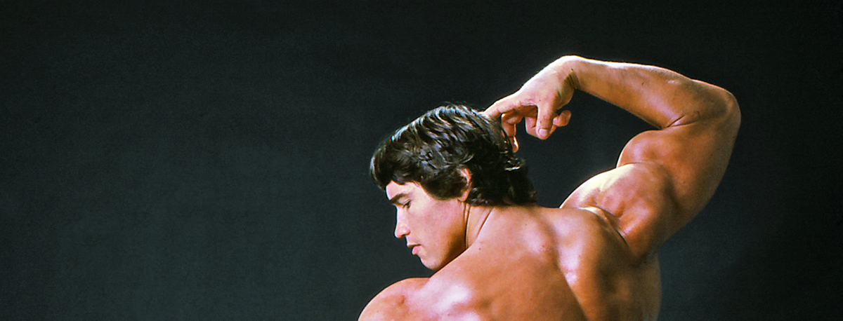 Arnold: The Education Of A Bodybuilder : Schwarzenegger, Arnold