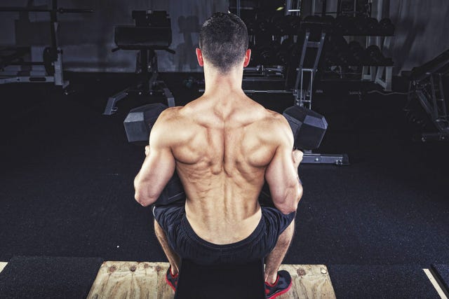 How to Do the Dumbbell Seal Row Back Exercise