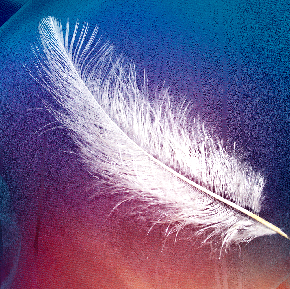 Feather, Fur, Natural material, 