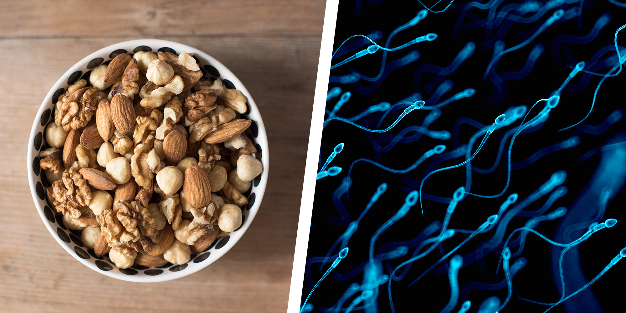 Eating Nuts Could Make Sperm Healthier