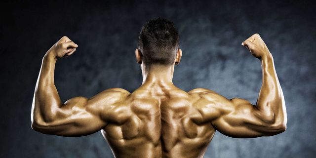 Build Your Back and Biceps With This 35-Minute Workout