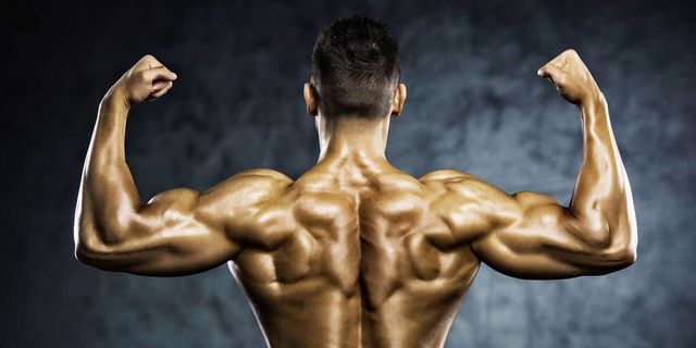 Strong back. Muskul mexanikasi. Бицепс на бежевом фоне. Back and biceps Workout. Muskul yugurish.